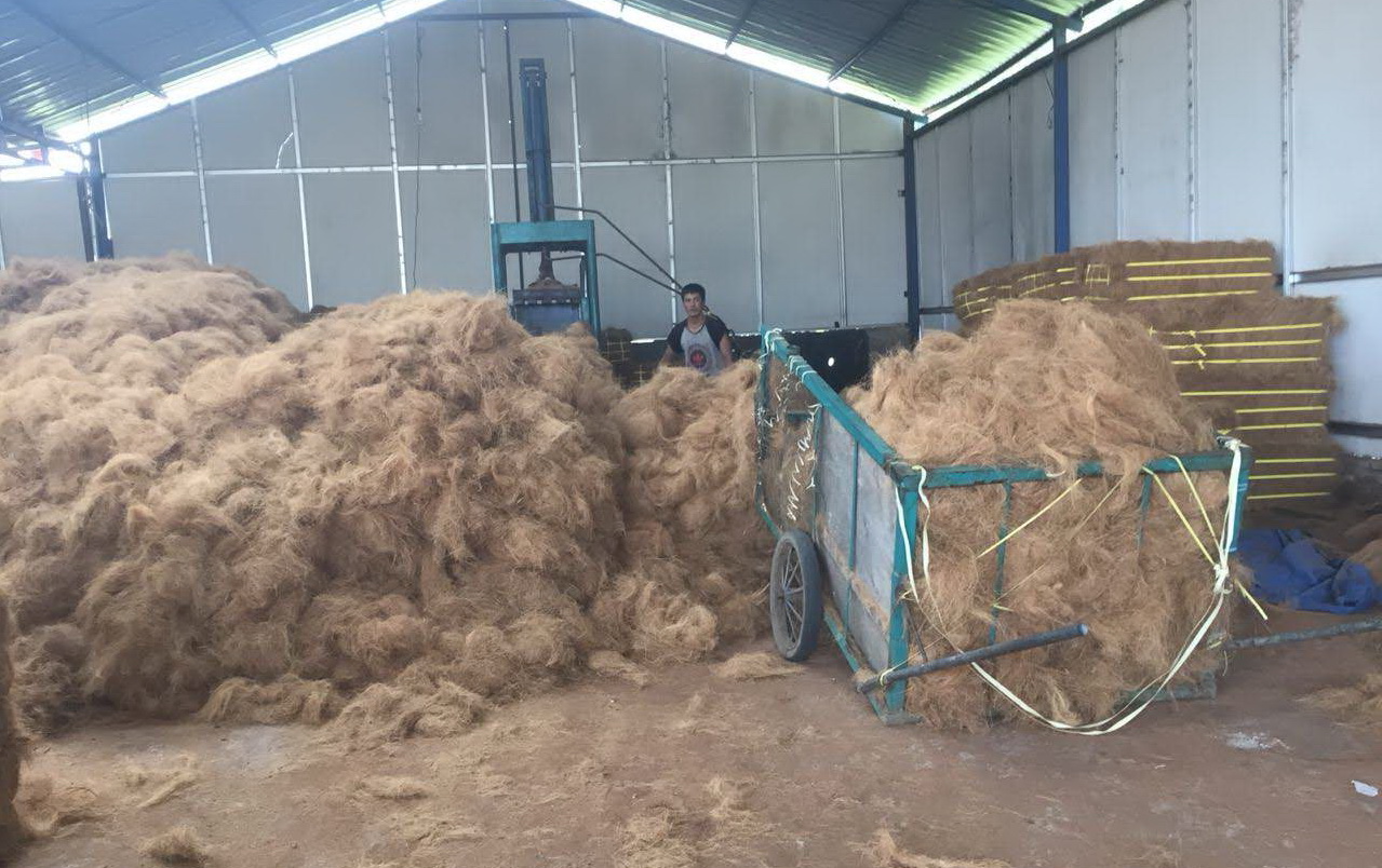 cocofiber 03